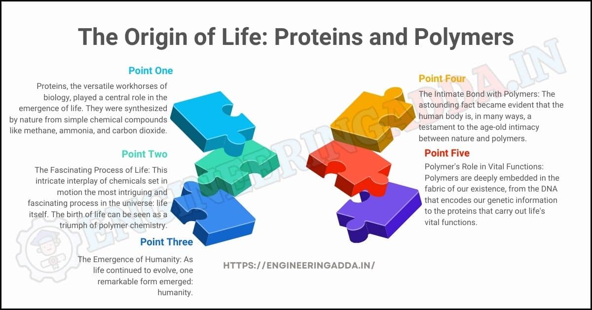The Origin of Life Proteins and Polymers 